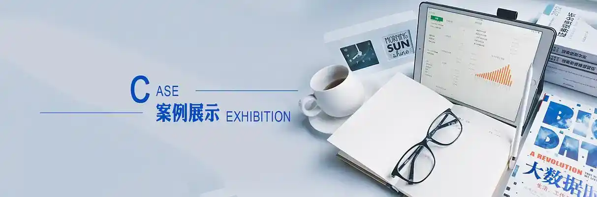 龙里县软件开发